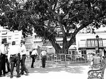 Un grupo de policías, junto al ficus centenario de la Plaza de la Constitución de Fuengirola.