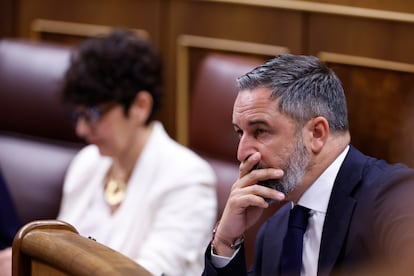 El líder de Vox, Santiago Abascal, durante el pleno del Congreso de los Diputados este miércoles.