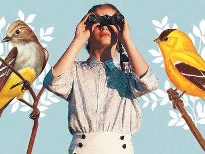 Huir de la ansiedad observando pájaros: cómo la ornitología nos devolvió la paz mental