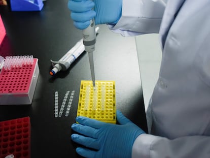 Un investigador de la Universidad de Pekín realiza pruebas para la vacuna del coronavirus.