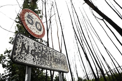 En la imagen, senalizacion de entrada al municipio de Nodeirinho.