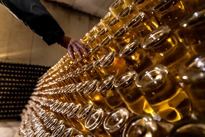 Botellas en reposo en la bodega de Dominio de la Vega, en la denominación Utiel-Requena.