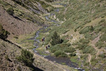 Excursionistas ascienden por a ribera de Err, que transcurre por el valle de Aiguaneix.