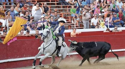 Toros mochos y con velcro, en California.