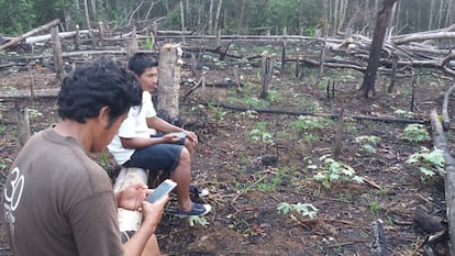Indígenas que participan en las misiones de vigilancia forestal comunitaria encuentran áreas deforestadas próximas al territorio Copal Urco.