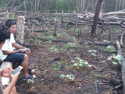 Indígenas que participan en las misiones de vigilancia forestal comunitaria encuentran áreas deforestadas próximas al territorio Copal Urco.