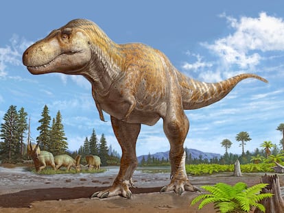 Ilustración de reconstrucción del Tiranosaurio Mcraeensis.