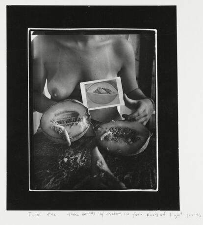 Imagen de la serie ' Three kinds of melons in four kinds of light', Providence, Rhode Island 1976 © George and Betty Woodman.