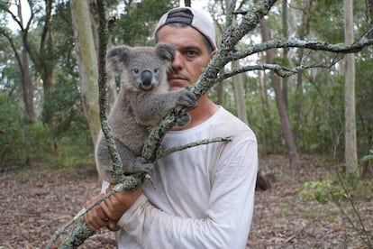 El herpetólogo Frank Cuesta junto a un koala.