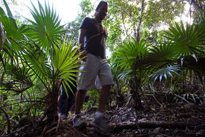 En algunos lugares la selva llega hasta el borde mismo del Caribe. Puedes apuntarte a una caminata en plan Indiana Jones (no tanto) en Rancho San Felipe, una pequeña comunidad de familias mayas, ya en la jungla. La flora y la biodiversidad preservada de esta reserva natural son un gran aliciente. www.alltournative.com.mx