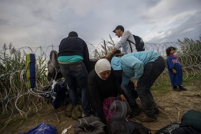 Un grupo de inmigrantes cruzan la alambrada en la frontera entre Hungría y Serbia cerca de Roszke.