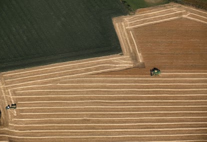 Labores agrícolas en un campo de Haltern, Alemania.