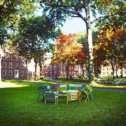 Las zonas verdes del campus de la Universidad de Harvard.