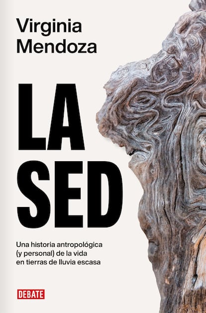 Portada de 'La sed', de Virginia Mendoza.