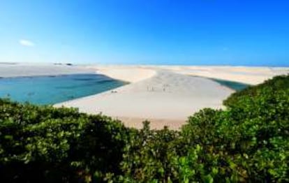 Dunas de arena y lagunas de agua de lluvia en los Lençóis Maranhenses.