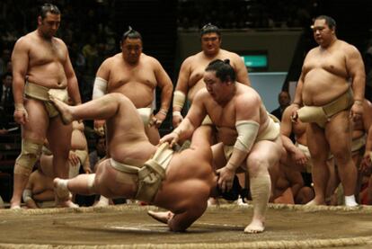 El <i>yokozuna </i>(gran campeón de sumo) Assashoryu derriba a Kotoshogiku en un <i>doyho</i> <i>(ring </i>de sumo) en Tokio el 29 de abril de 2008.