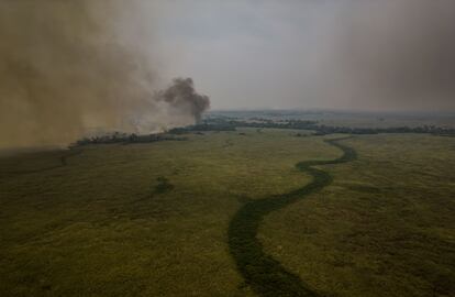 Un incendio arde en el Parque Estatal del Pantanal de Río Negro, el 18 de noviembre.