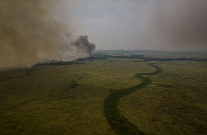 Un incendio arde en el Parque Estatal del Pantanal de Río Negro, el 18 de noviembre.