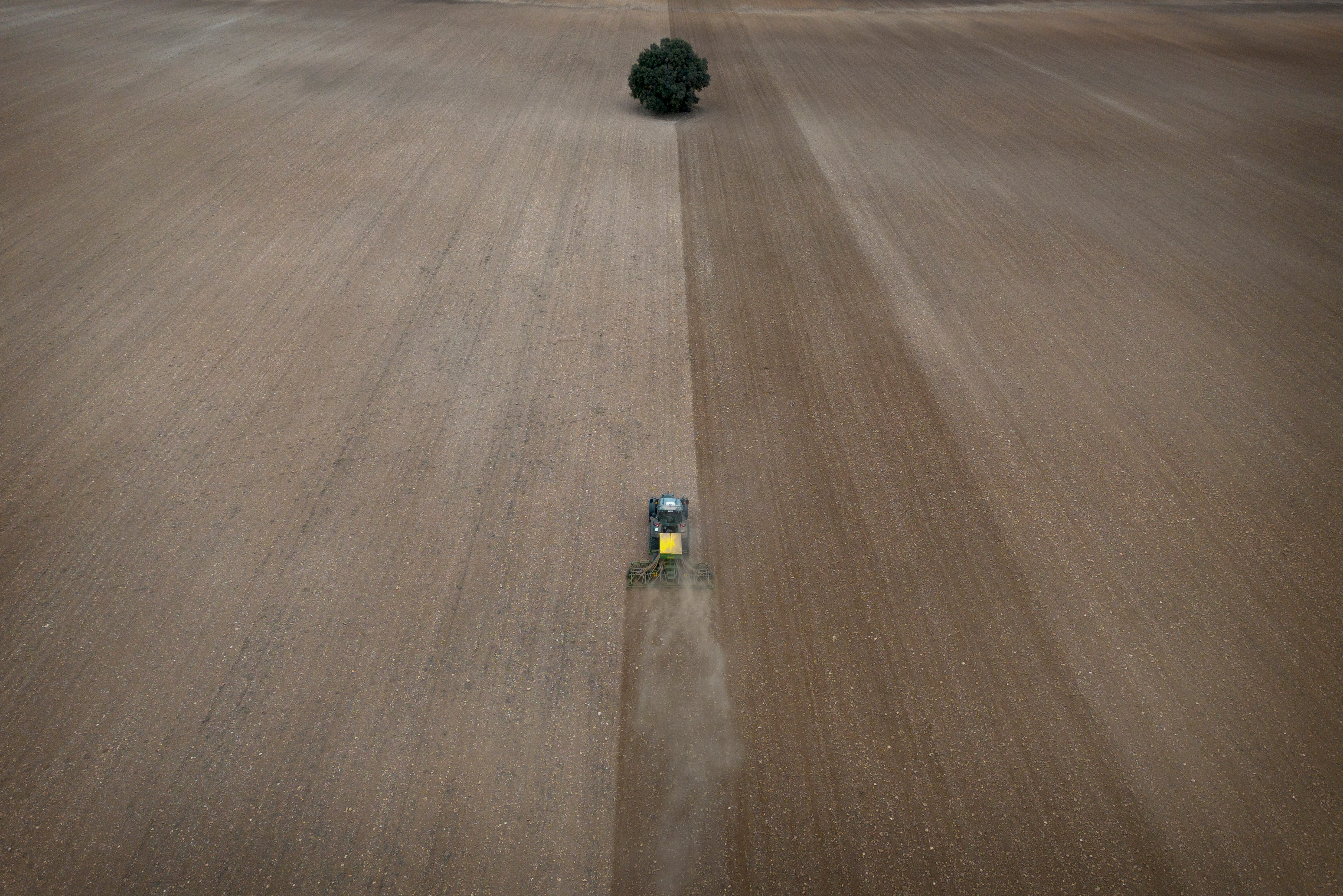 El exceso de producción hunde los precios de los cereales en el campo 