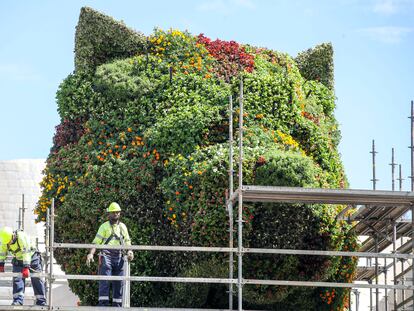 Trabajadores retiran el andamio tras cambiar las flores de la 'piel' de Puppy, icónica escultura floral ubicada frente al Museo Guggenheim de Bilbao.