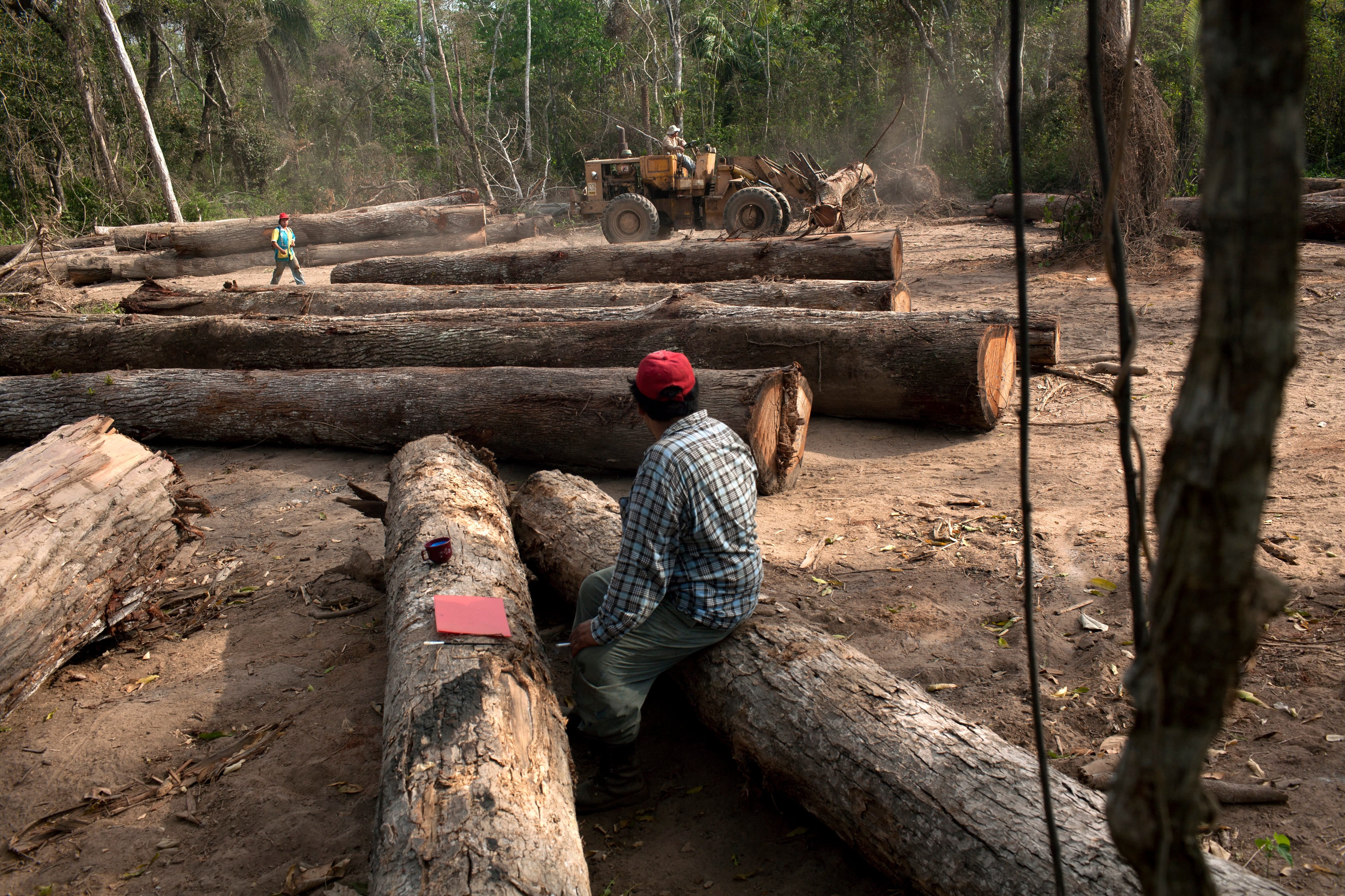 Bolivia apunta a explotar la Amazonia para salir de la crisis de hidrocarburos