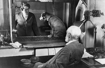 Pavlov'un köpeği