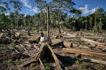 Julián observa uma área devastada por madeireiros na beira da nova estrada, no território Shuar. 