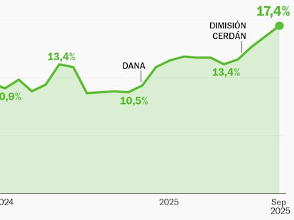 ¿Quiénes son los nuevos votantes de Vox? Datos por edad, sexo y clase social