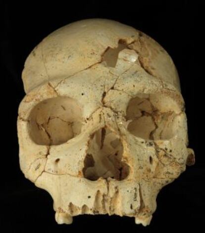 Cráneo 17, de hace 436.000 años, hallado en la Sima de los huesos (Atapuerca, Burgos).