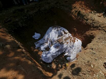 El cuerpo sin vida de un elefante durante una ceremonia religiosa en el templo budista de Colombo, la capital de Sri Lanka. El elefante, llamado Hemantha, murió a los 23 años tras pasar los últimos seis meses en tratamiento médico por una enfermedad en sus patas.
