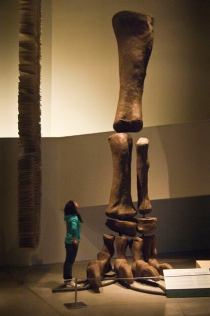 Pata de cinco metros de longitud de un argentinosaurio en la exposición sobre el tiranosaurio rex en Granada.