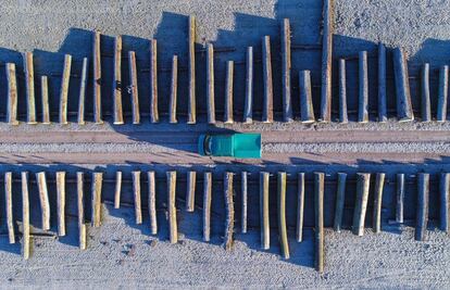 Una imagen aérea tomada con un dron muestra troncos de madera alineados en las instalaciones de almacenamiento de una compañía forestal de Brandeburgo, en la ciudad de Chorin, en el este de Alemania.