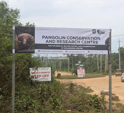 Un centro de investigación del Grupo de Trabajo para la Conservación del Pangolín de Nigeria, en la Universidad de Ibadan, Oyo, suroeste de Nigeria, en una imagen cedida por la organización y tomada en septiembre de 2024.