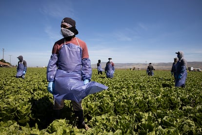 campesinos en estados unidos