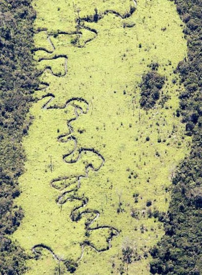 Vista aérea de una zona de la selva amazónica destruida y deforestada por empresas madereras.