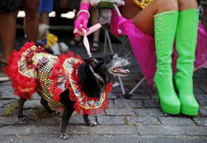 Un perro disfrazado junto a su dueño durante el desfile del carnaval del perro en Río de Janeiro (Brasil).