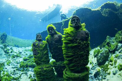 Las estatuas &#039;Eye Spy&#039; que fueron abandonadas bajo las aguas del Silver Springs State park de Florida tras el rodaje de la serie de televisi&oacute;n &#039;I Spy&#039; en la d&eacute;cada de los 60 aparecen cubiertas de algas.Un equipo de buceo se ocupar&aacute; se su limpieza en los pr&oacute;ximos d&iacute;as.