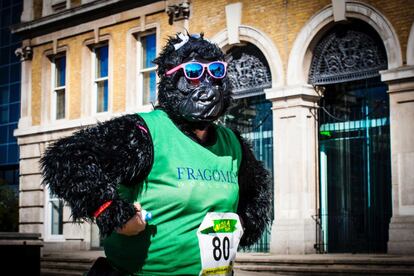 Una de las citas preoto?ales ms locas de Londres se celebrar el 17 de septiembre, con una nueva edicin de la Great Gorilla Run (en la foto), una carrera en la que ecologistas y 'runners' corren, rigurosamente vestidos de gorilas, ocho kilmetros (desde la 'City' hasta Bankside, ida y vuelta) a beneficio de los gorilas de la monta?a.