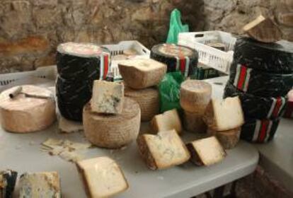 Venta de quesos típicos asturianos, Gamoneu y Cabrales, en el mercado dominical en la plaza de Cangas. EFE/Archivo