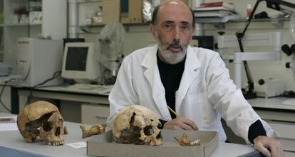 Francisco Etxeberria, forense y profesor de la UPV