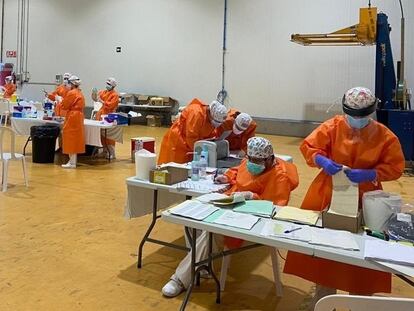 Sanitarios realizan pruebas de coronavirus a trabajadores de la empresa hortofrutícola del Bajo Cinca afectada por un brote, este domingo.