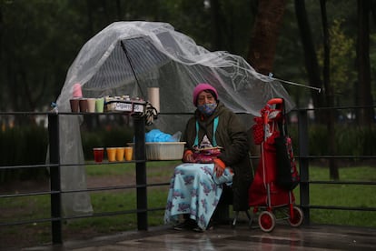 Una mujer ofrece sus productos por las calles de la Ciudad de México