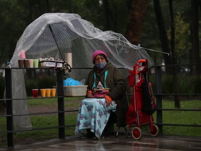 Una mujer ofrece sus productos por las calles de la Ciudad de México.