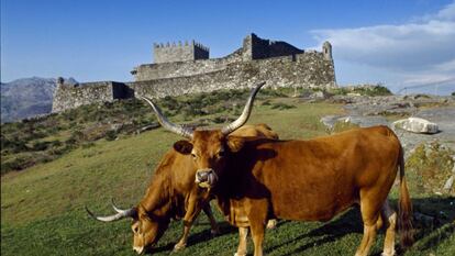 El castillo de Lindoso, en la regi&oacute;n de Minho y Tras-os-Montes.
 