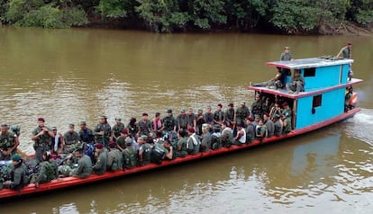 Guerrilleros del Bloque Sur se dirigen a las zonas de transici&oacute;n.