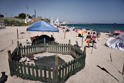 El recinto protegido del nido de tortuga boba en la Mar Bella de Barcelona. Con un ejemplar de plástico.