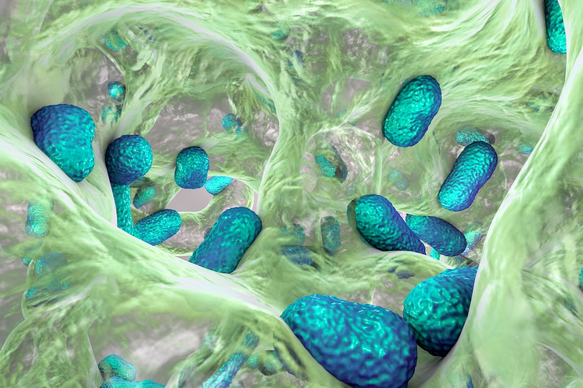 Zosurabalpina, un nuevo tipo de antibiótico que actúa con éxito contra una superbacteria mortal