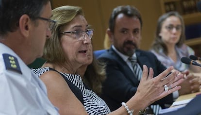 La fiscal jefe de Valencia, Teresa Gisbert, y a su derecha Enrique Vila, representante de una de las asociaciones.