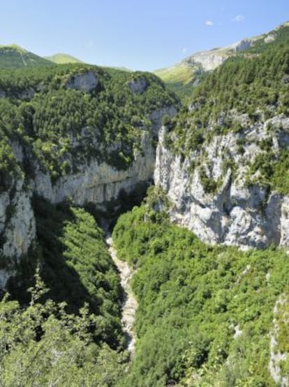 Garganta de Escuaín, en el parque nacional de Ordesa (Huesca), por la que discurre el río Yaga.