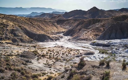 Desierto de Tabernas (Almería).